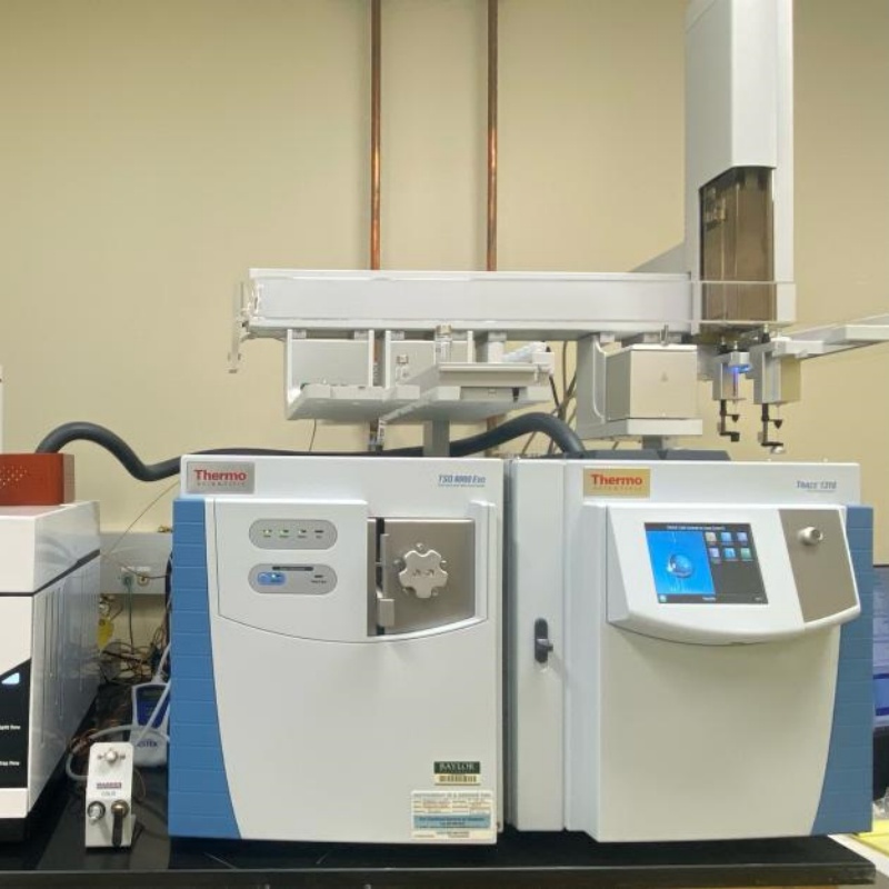 赛默飞 Thermo Fisher TSQ 8000 / TSQ 8000 Evo GCMS 三重四极杆气质联用仪